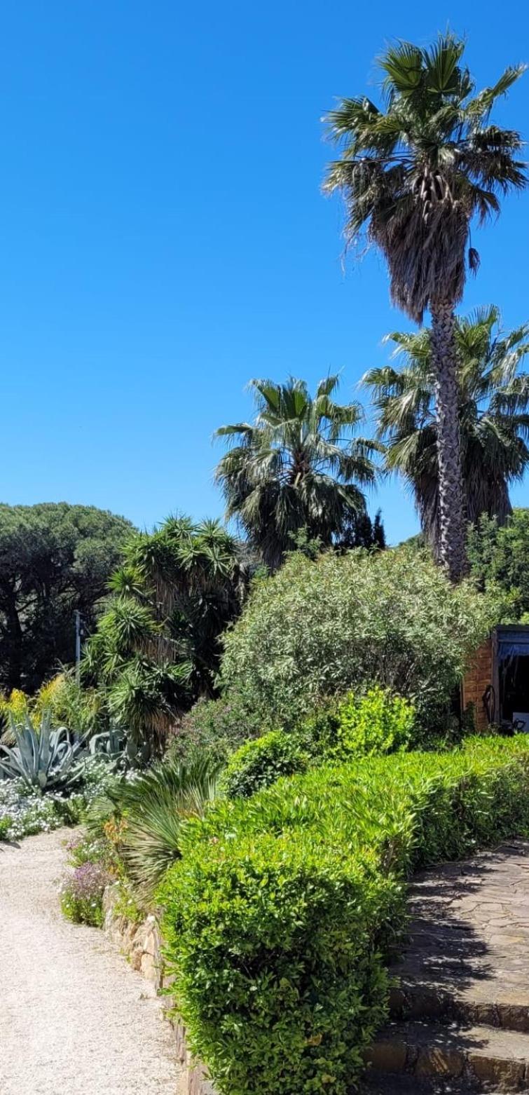 Villa Palm' Issambres 6-7 Personnes, Clim, Avec Piscine, Jardin Et Parking Prives La Garonnette-Plage Exterior foto